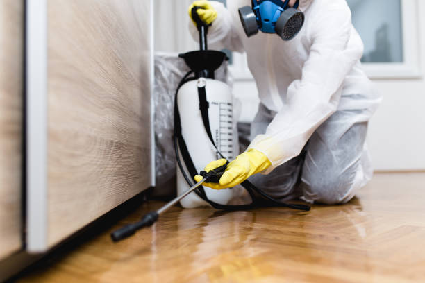 Best Residential Pest Control  in Nevada, TX