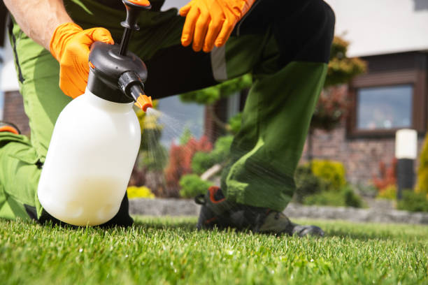 Best Affordable Pest Control Services  in Nevada, TX