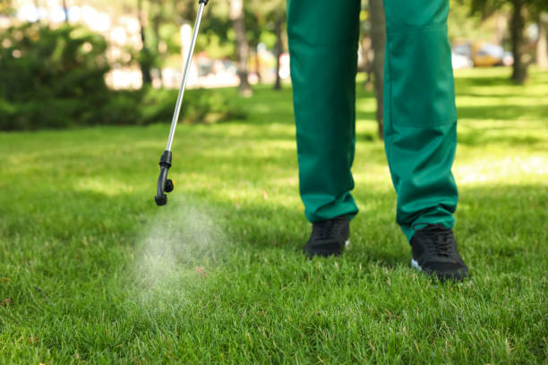 Best Best Pest Control Companies  in Nevada, TX