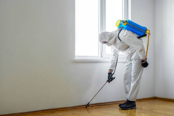 Pest Prevention Services in Nevada, TX