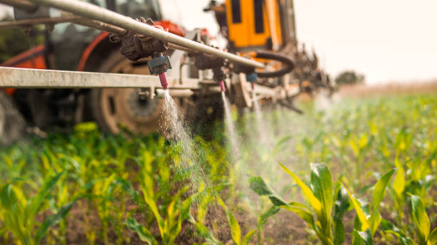 Best Pest Control Treatment  in Nevada, TX