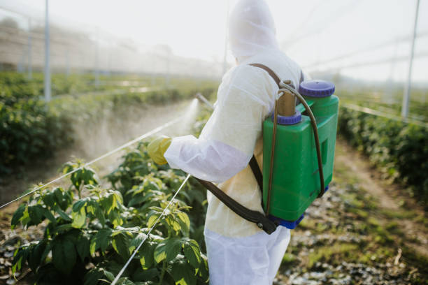 Best Flea Control Services  in Nevada, TX
